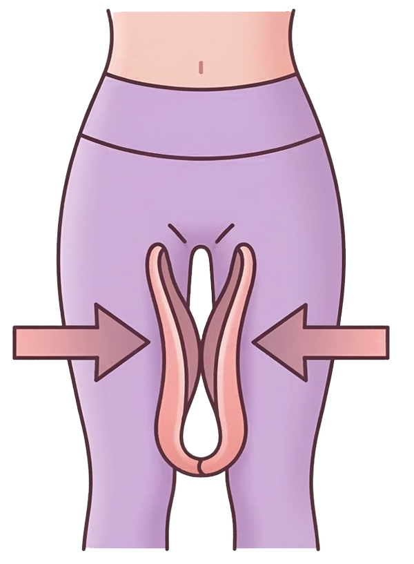 Inner Thighs